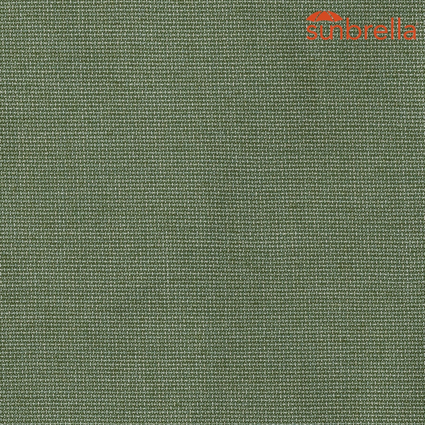 Sunbrella Specialty Weaves Bliss Aloe 48135-0017