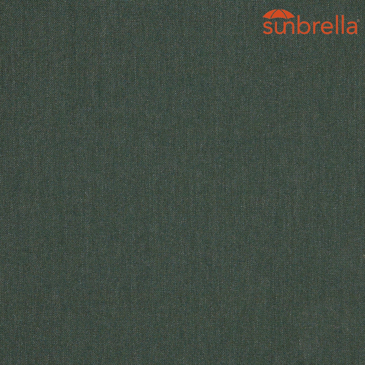 Sunbrella Solids Cast Ivy 48141-0000