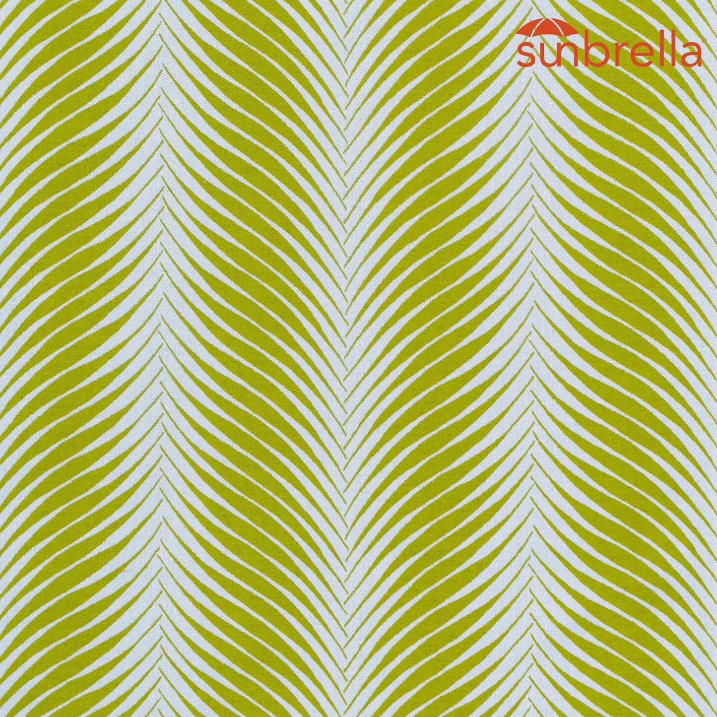 Sunbrella Jacquards Clock Out Frond 146205-0001